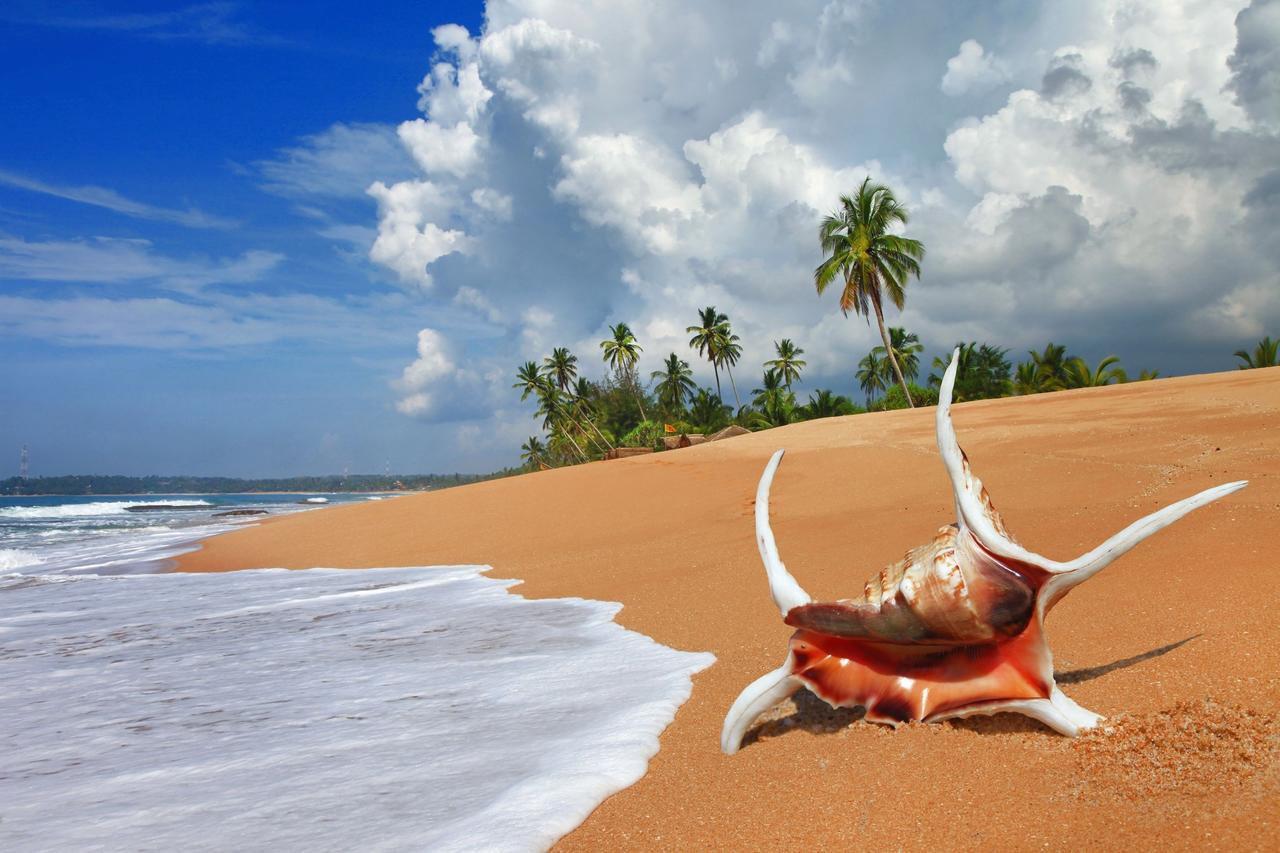 Darshani Hikka Villa Hikkaduwa Buitenkant foto