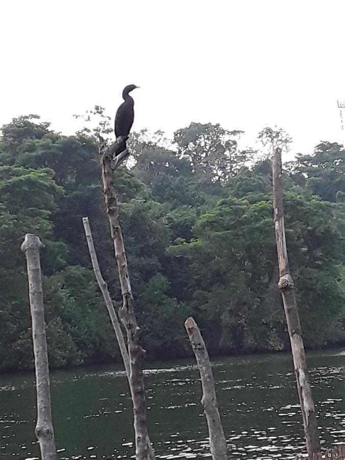 Darshani Hikka Villa Hikkaduwa Buitenkant foto